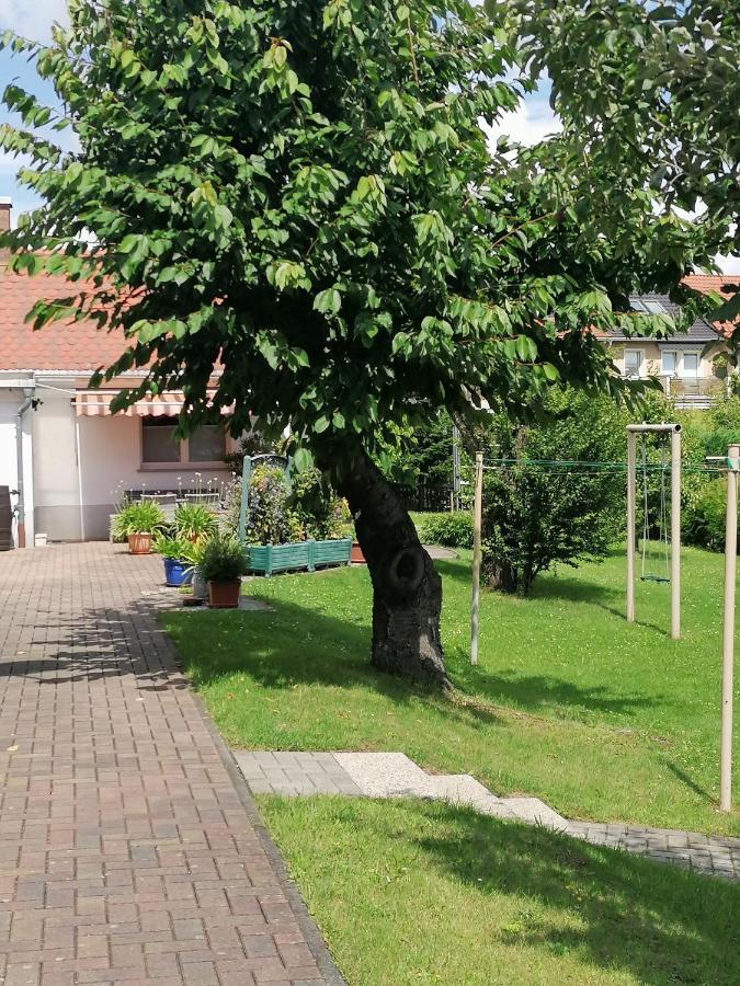 Appartement Toepferblick à Olbersdorf Extérieur photo